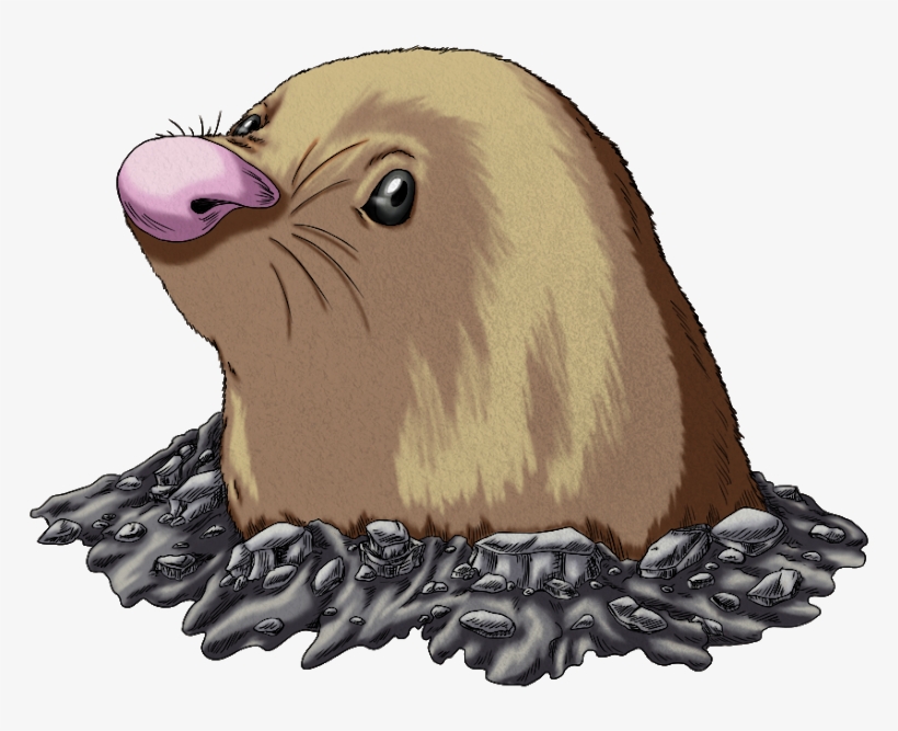 California Sea Lion, transparent png