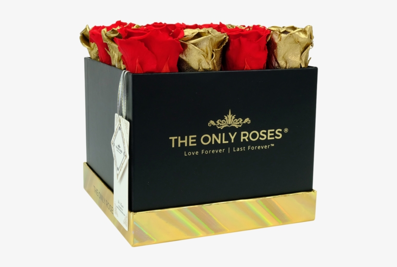 Red And Gold Preserved Roses - Rose, transparent png