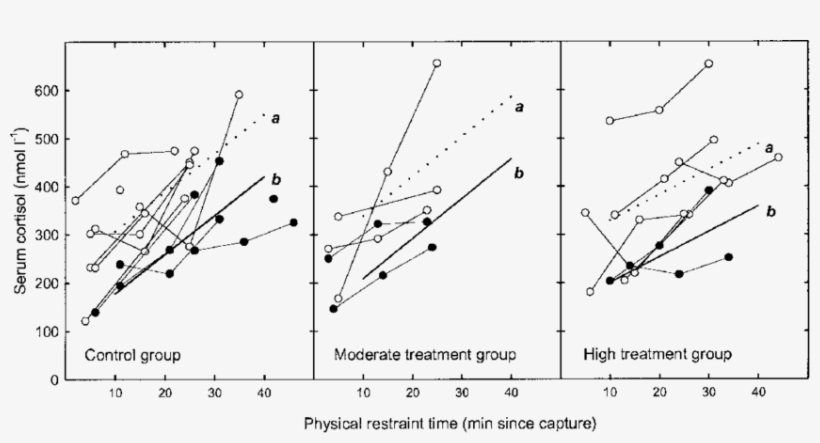Comparison Of The Cortisol Response During 45 Min Of - Diagram, transparent png