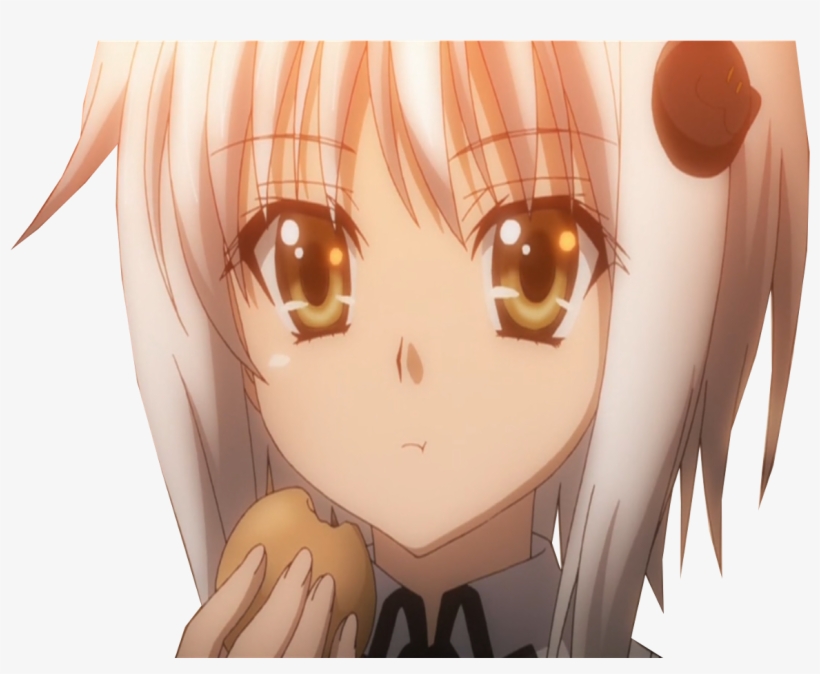 Lien Direct, 2017/29/6/1500733151 Hdxd 3 Modif - Koneko Tōjo, transparent png