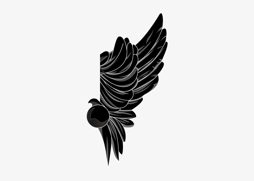 Right-wing - - Thor Media, transparent png
