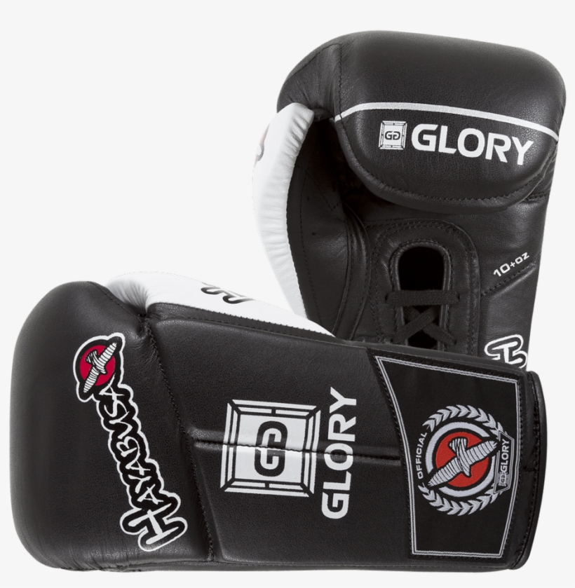 Hayabusa Glory 10oz Lace Gloves - Hayabusa Boxing Gloves, transparent png