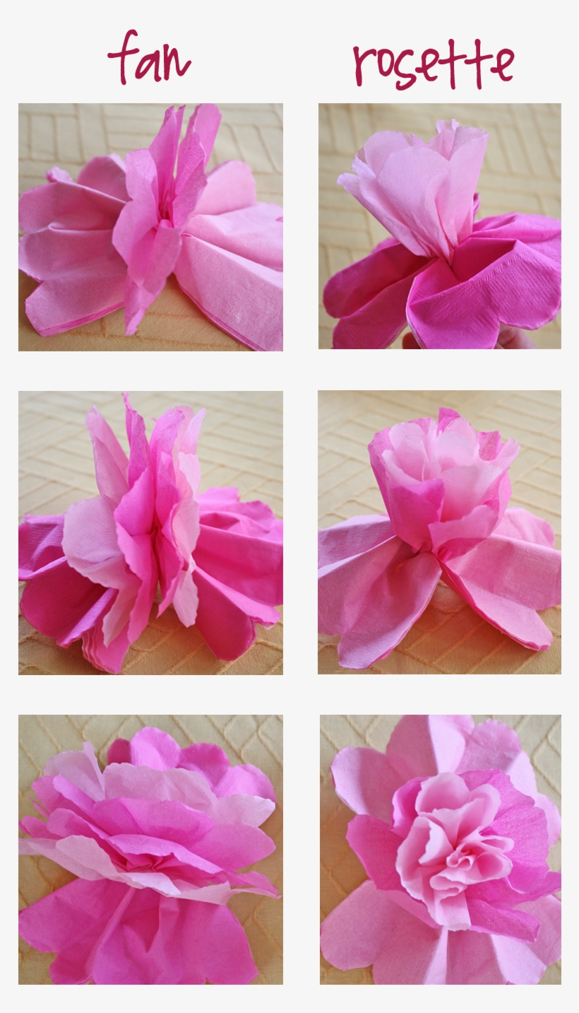 So, The Next Time You Want To Make Tissue Paper Roses - Gift Wrapping, transparent png