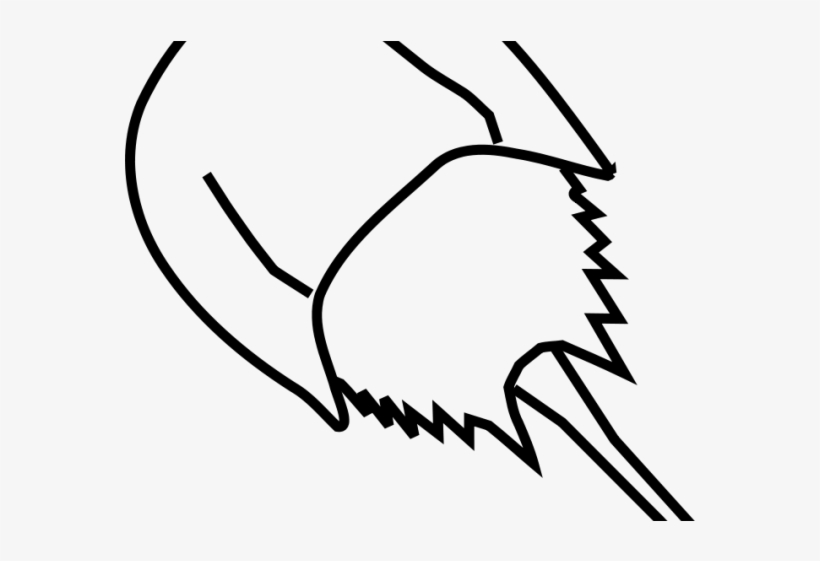 Horseshoe Clipart Upside Down - Horseshoe Crab Drawing, transparent png