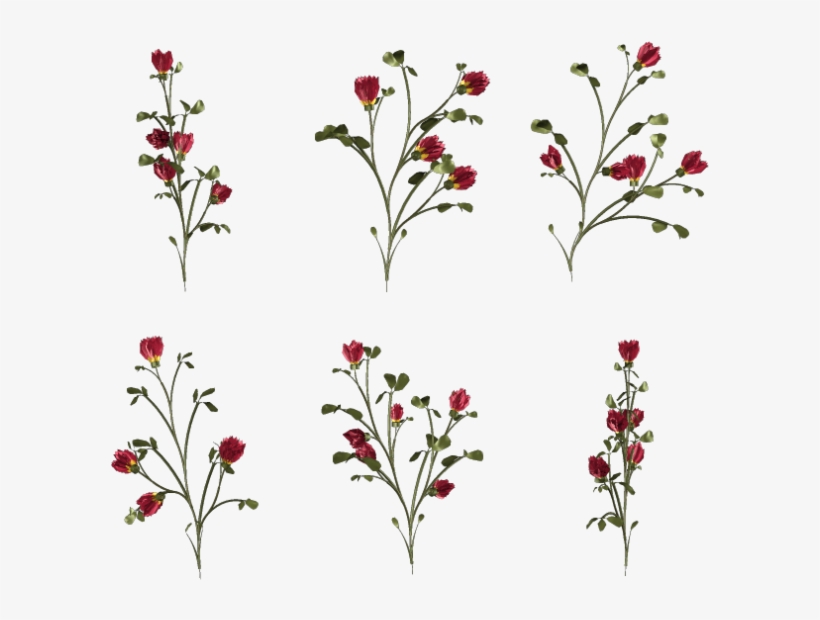 Pink Yellow Cupped Flowers - Flower, transparent png