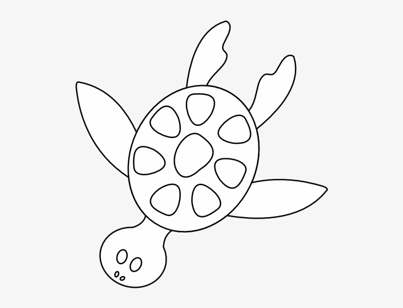 Colorful Animal Sea Turtle Black White Line Art 555px - Sea Turtle, transparent png