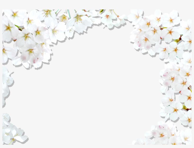 Apple Blossom Border Clipart Black And White - Png Spring Festival Background, transparent png