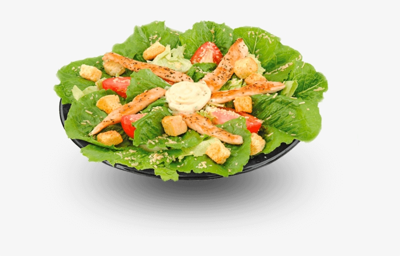 Conóce Más - Ensalada Cesar Sandwich Qbano, transparent png