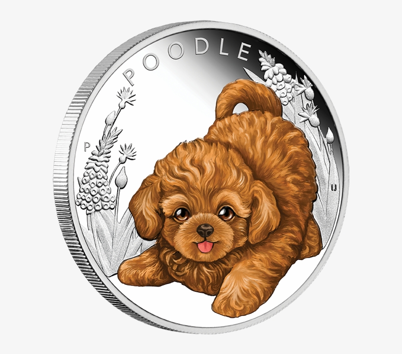 Poodle Silver Coin ~ The Puppies Series - Coin, transparent png