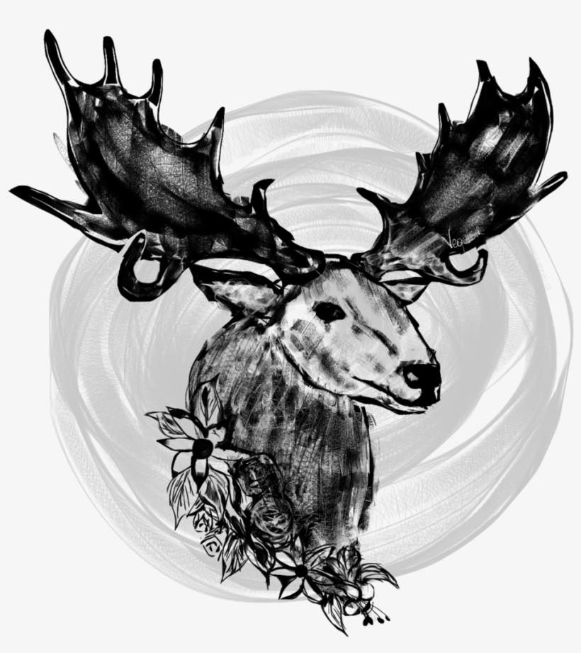 Moose Mooses Animal Animals Wild Wilderness Black - Deer, transparent png