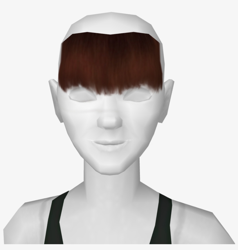 Flaritron Bangs Brown - Zucker Feather Products Feather Big Bird Mask, transparent png