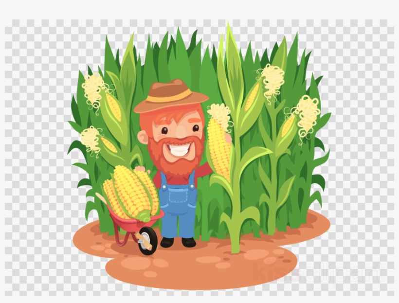 Cornfield Cartoon Clipart Field Corn Clip Art - Cartoon Corn Field, transparent png