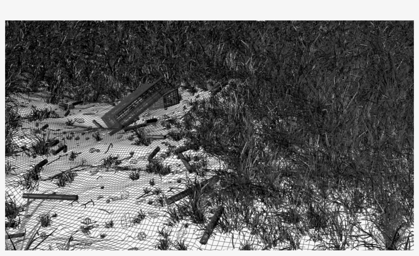 Grasfeld 12 Wire - Monochrome, transparent png