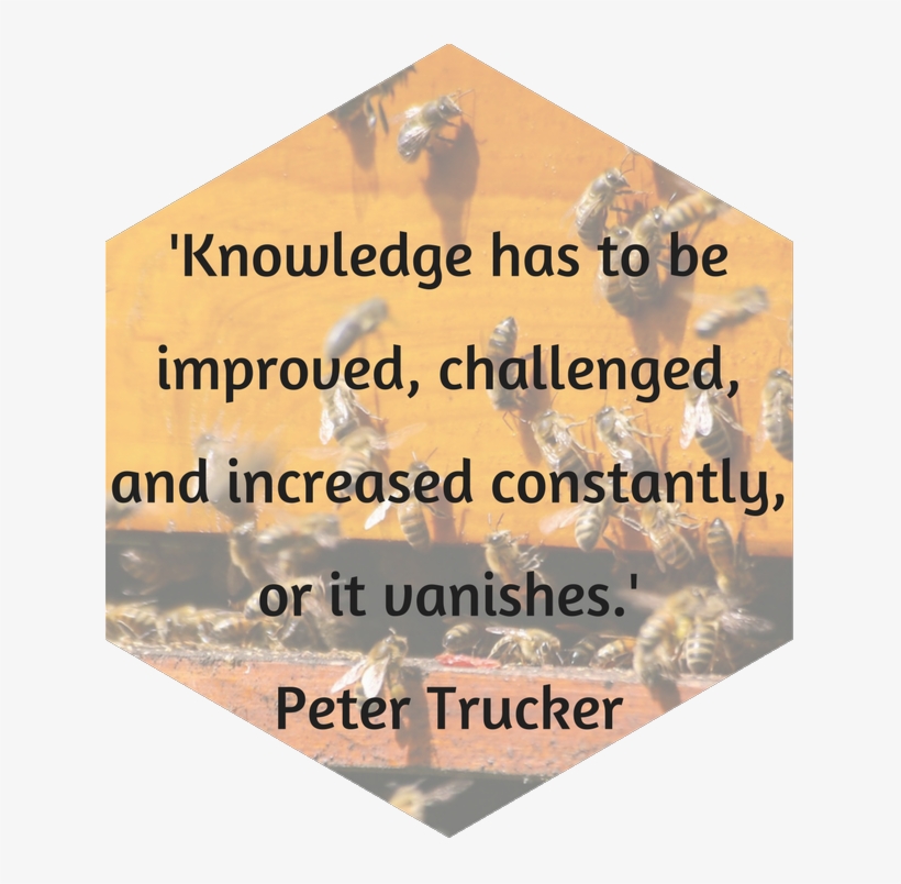 Knowledge Franchising Mystery Shopping Customer Service - Toko Progo, transparent png