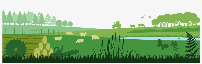Coed Cymru Cyf The Old Sawmill Tregynon Newtown - Grass, transparent png