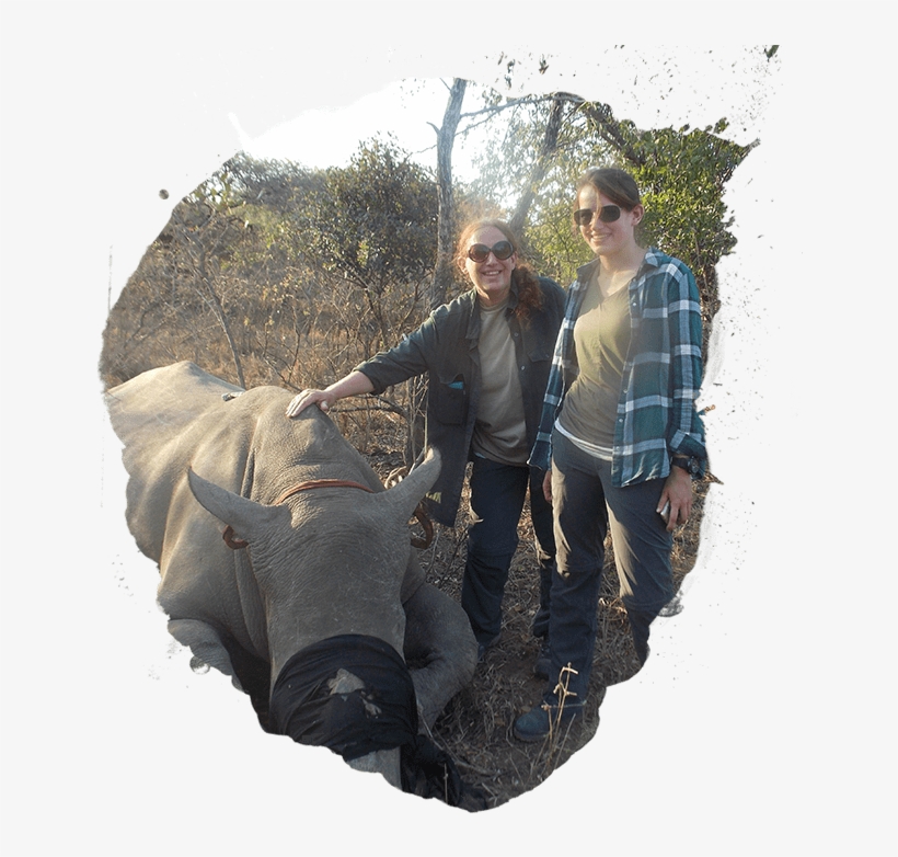 Linda And Catherine Kens - Catherine Giudici, transparent png