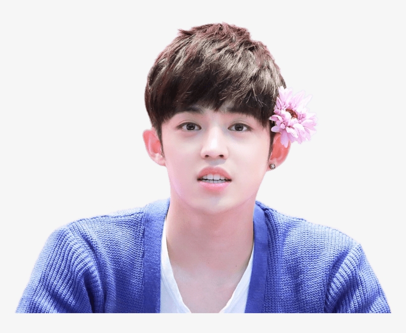 Seventeen Scoups Flower In Hair, transparent png