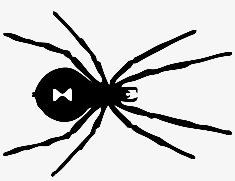 Clipart Winter Concert Snowflake Treble 11 Spider Black - Black Widow Spider Black And White, transparent png