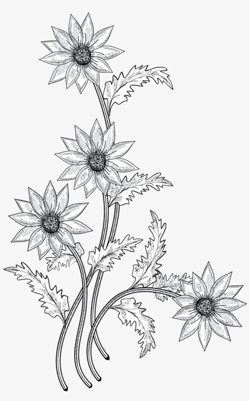 Black And White Flower With Stem Clipart - Flower Silver Png, transparent png