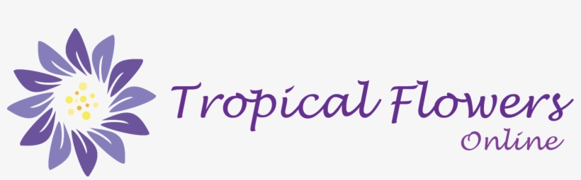 Tropical Flowers Online - Flower, transparent png