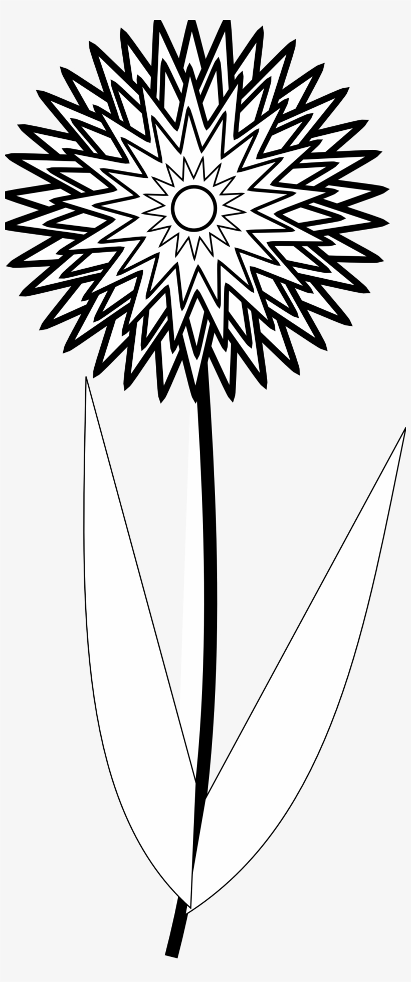 Flower Clipart Black And White - Gold Sun Mirror, transparent png
