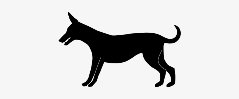 Dog Breed Cat Puppy Town Musicians Of Bremen - Town Musicians Of Bremen, transparent png