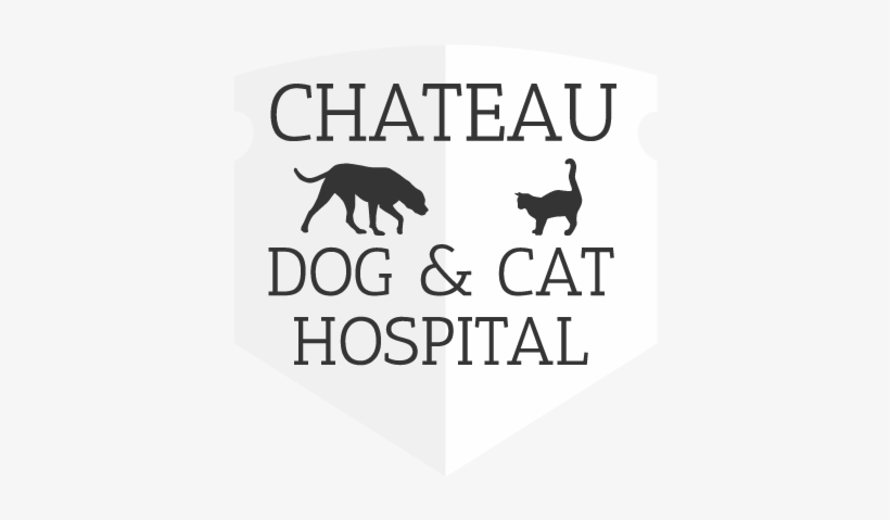 chateau dog & cat hospital