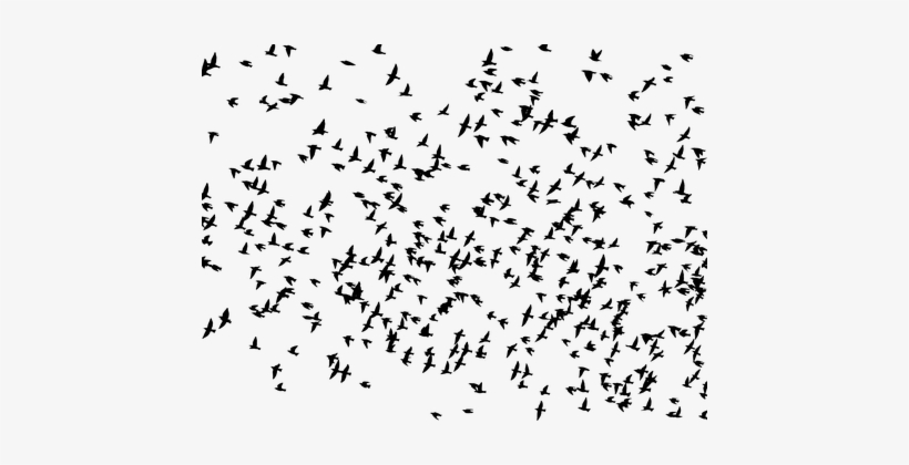 Flock, Birds, Animals, Flying - Flock Of Birds Flying Silhouette, transparent png