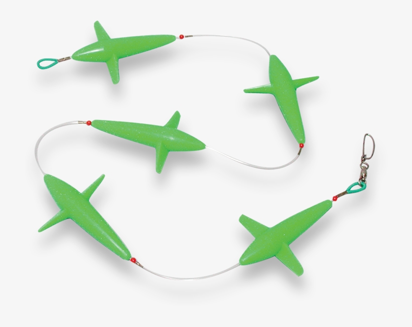 Bird, transparent png