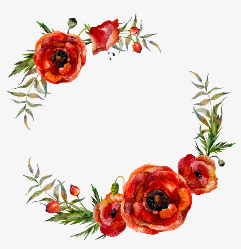 Poppy Flowers Watercolor Painting, transparent png