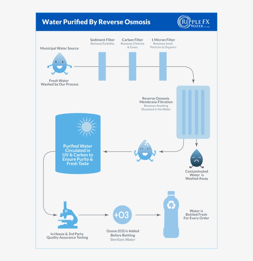 Smk Kesehatan Tpa Jember, transparent png