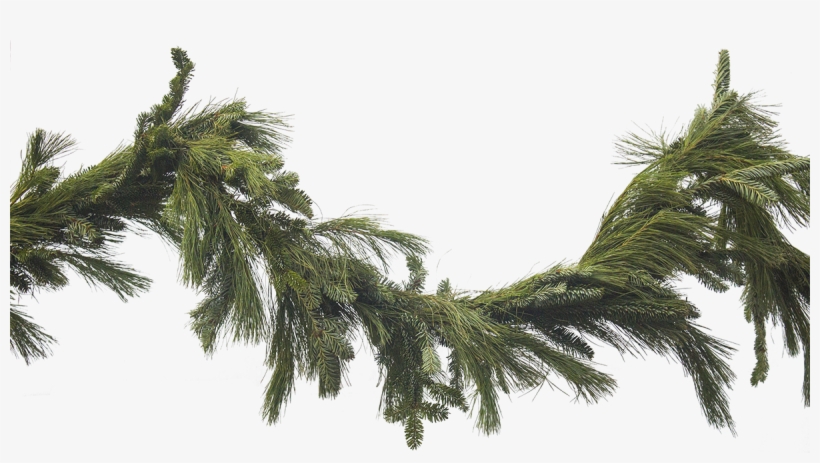 transparent garland png picture library stock evergreen garland png 1200x620 png download pngkit transparent garland png picture library
