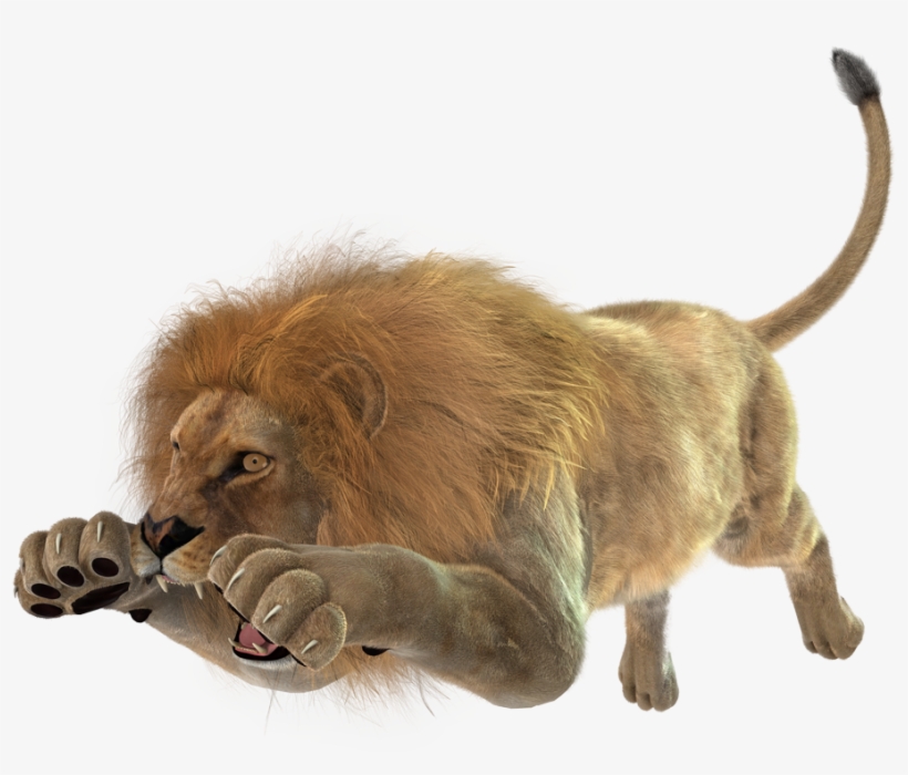 Images Of Angry Lion Png - Lion Jumping Png, transparent png