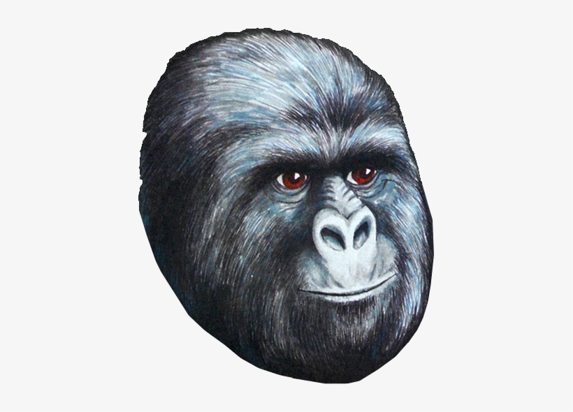 445kib, 423x510, Jimms - Star Wars Rustled My Jimmies Mug, transparent png