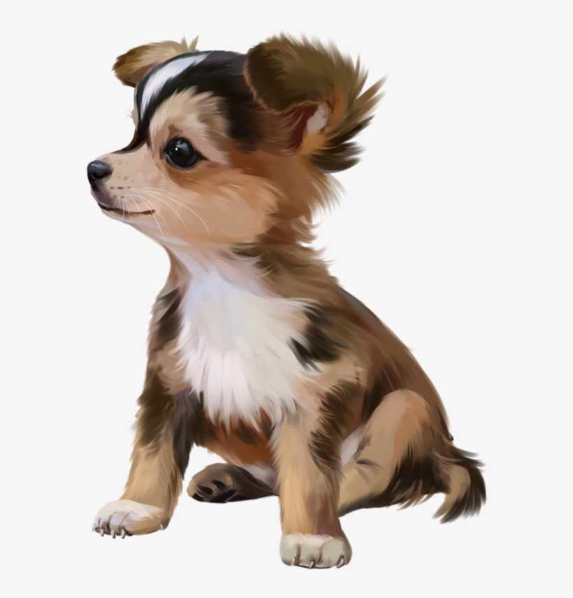 Image Du Blog Zezete2 - Katze U. Hund Kissen, transparent png