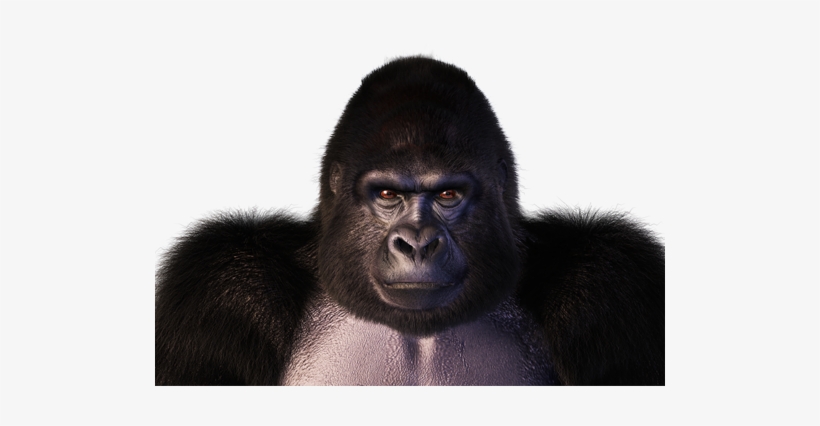 Apex Gorilla Character - Monkey, transparent png