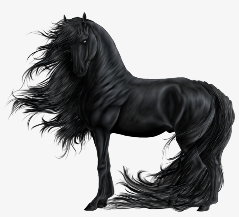 Emporer By Wild Catt - Horse Devil, transparent png