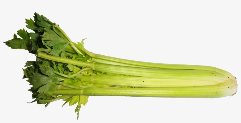 Celery Transparent One Piece - Celery, transparent png