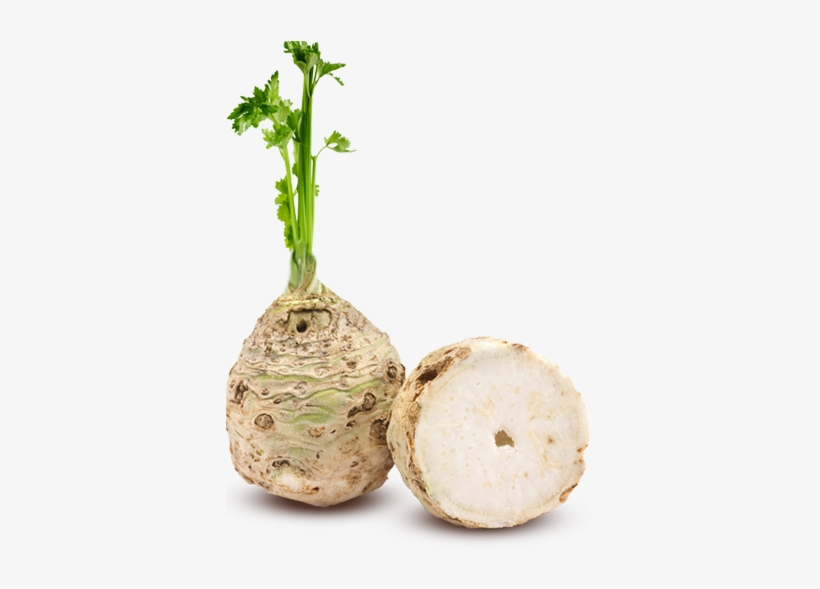 Celery Transparent One Piece Jpg Royalty Free - Gemüse Braun, transparent png