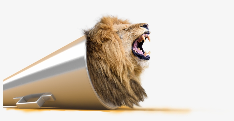 Speak Loudly Speak Visually Receive Practical Tips - Design, transparent png