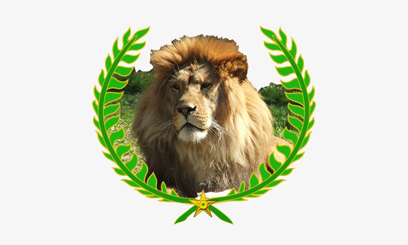 Lion Png File - 3rd Place, transparent png