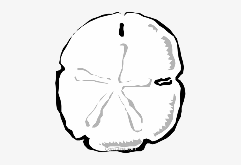 Sand Dollars Royalty Free Vector Clip Art Illustration - Clip Art, transparent png