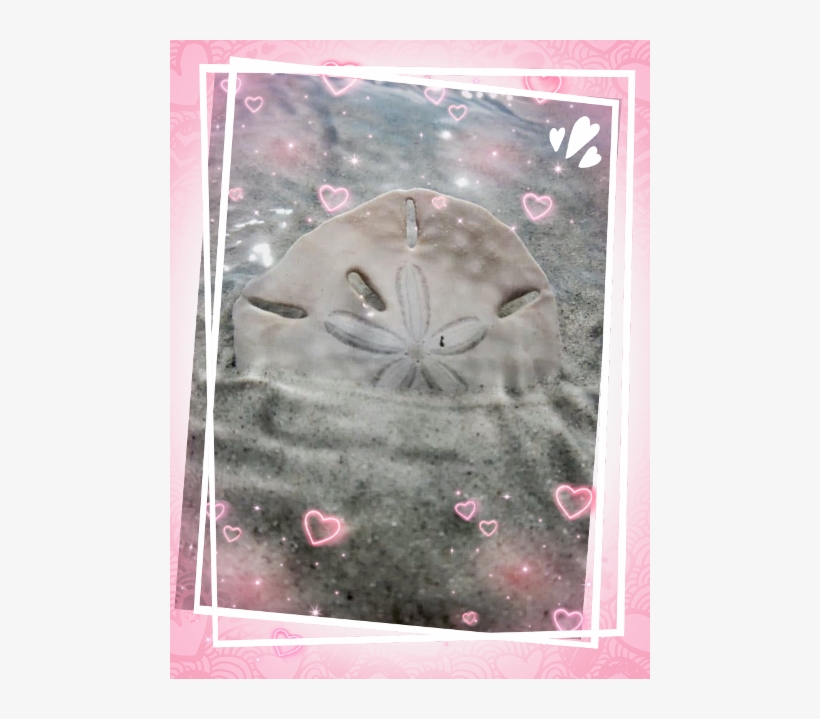 Visual Arts, transparent png