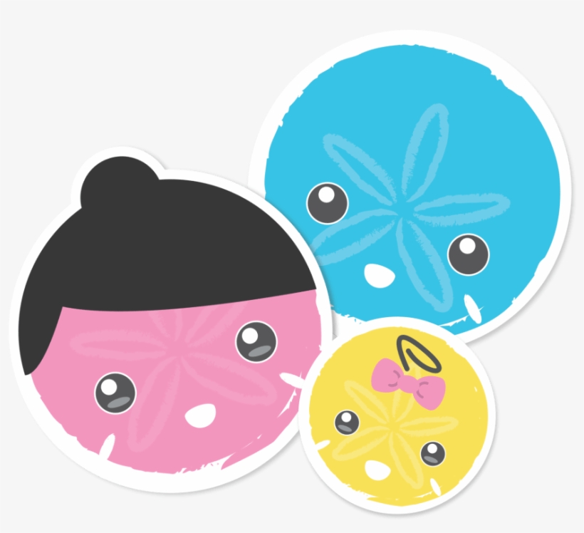 Sand Dollar, transparent png