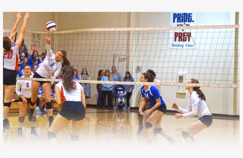 Athletics-volleyball 2016, transparent png