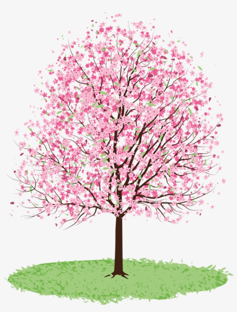 Ftestickers Clipart Watercolor Illustration Cherrybloss - Clip Art Spring Tree, transparent png