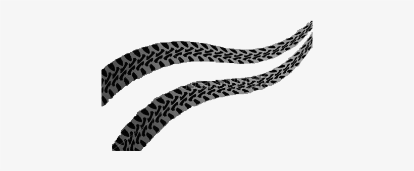 Tracks - Long Nosed Snake, transparent png