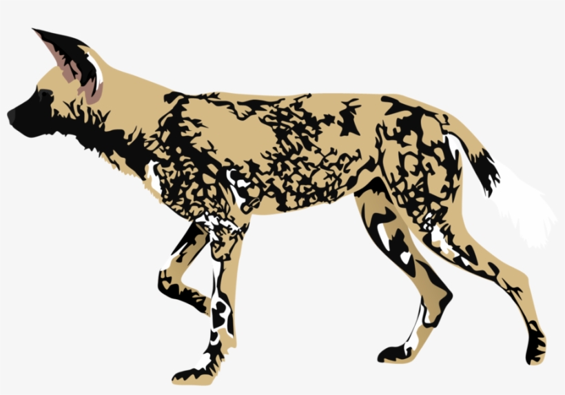 African Wild Dog Mzt2-d55lh3o - African Wild Dog Clipart, transparent png