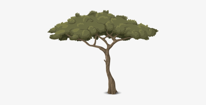 Tree Trunk Nature Leaves Branches Graphic - Baum Grafik, transparent png