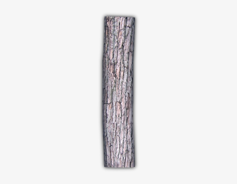 249k Decaying Log 06 Feb 2009 - Wood, transparent png